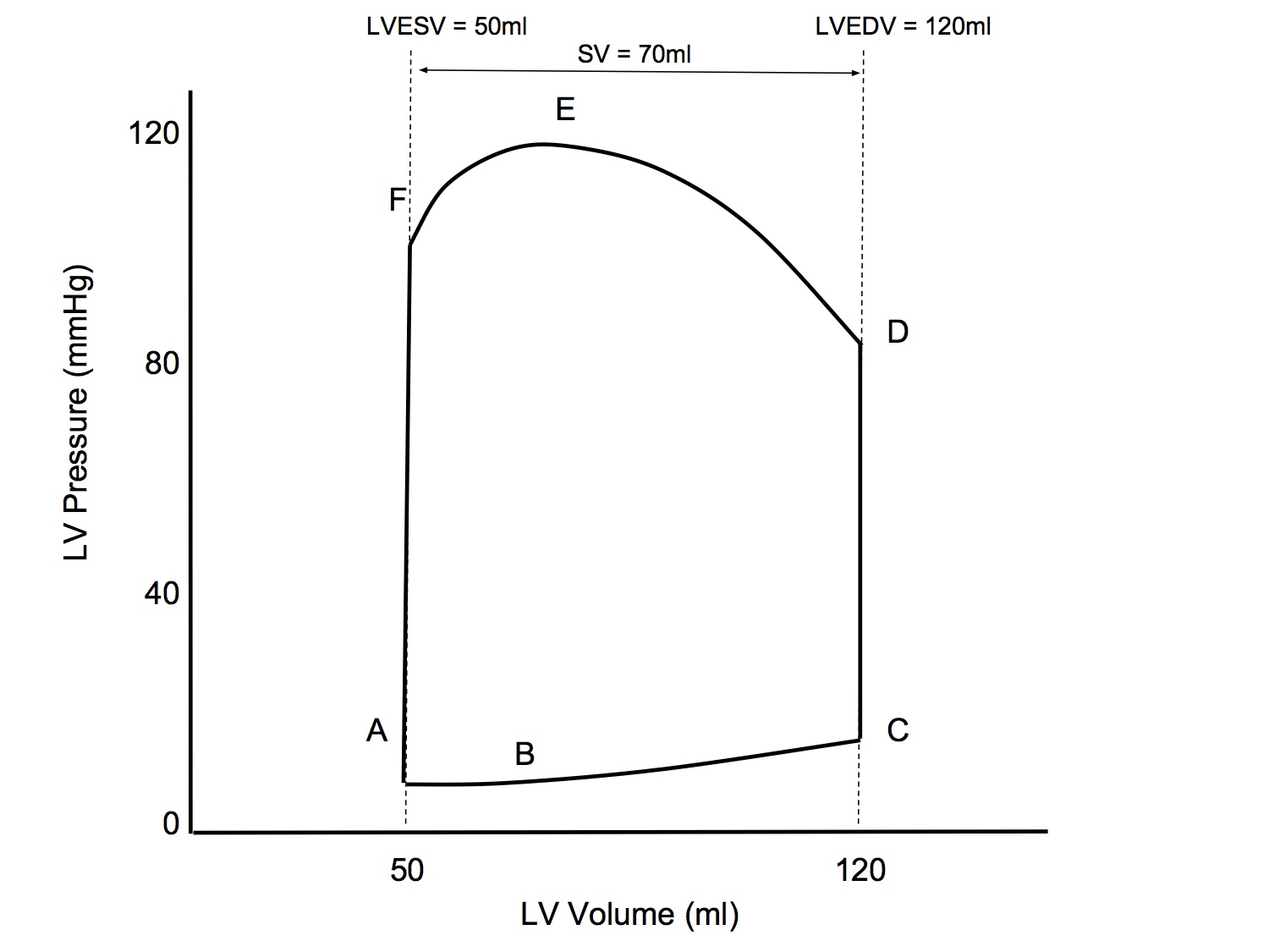 LV Pressure Volume Loop Simplified.jpg