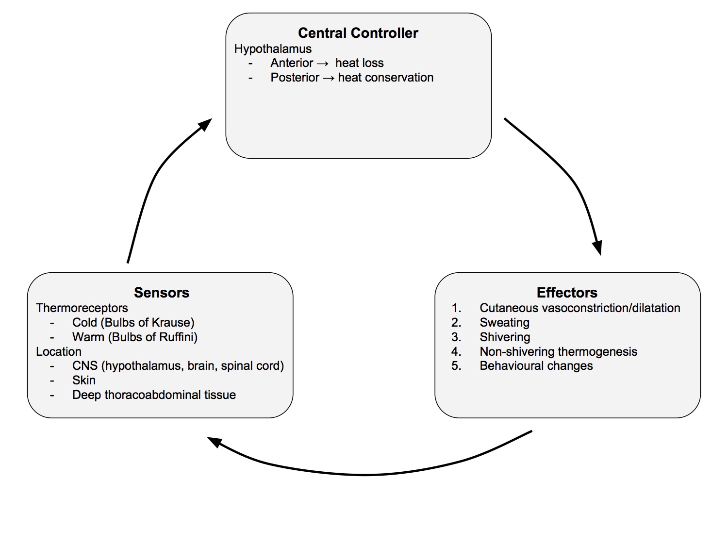 Thermoregulation Schematic.jpg
