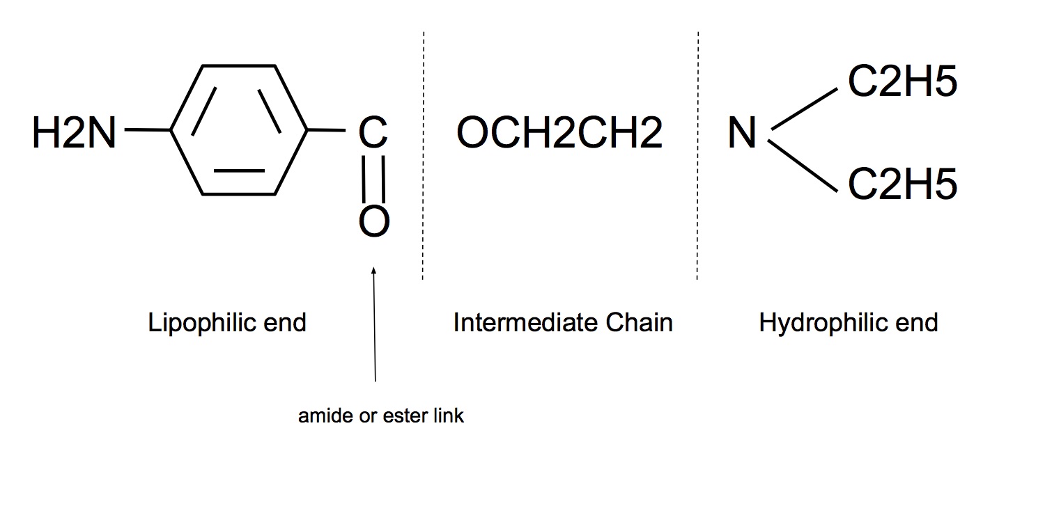 Local Anaesthetic.jpg