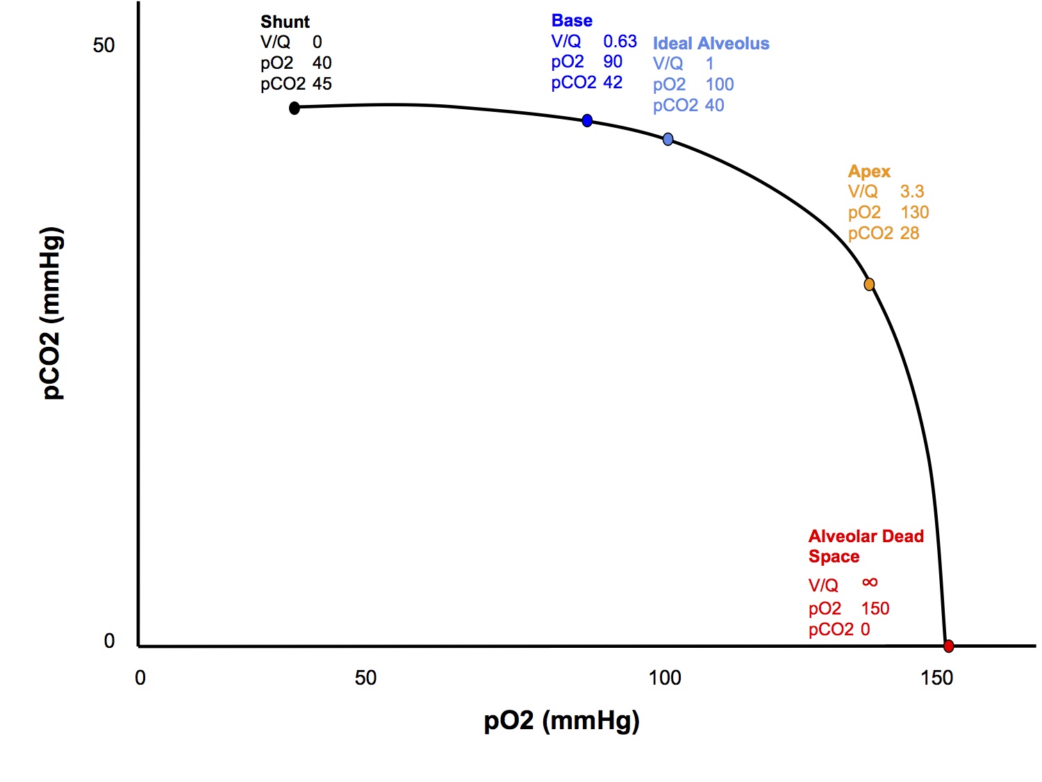 O2 CO2 vs VQ Diagram.jpg